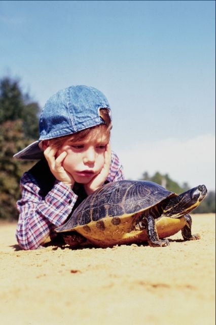 boy and turtle
